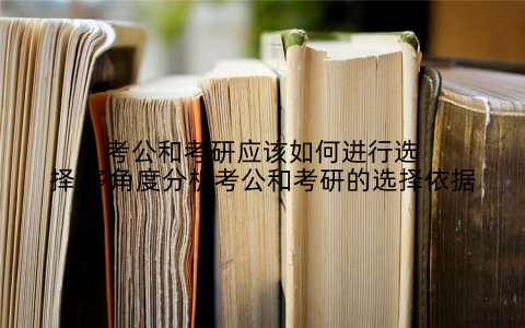 考公和考研应该如何进行选择,多角度分析考公和考研的选择依据