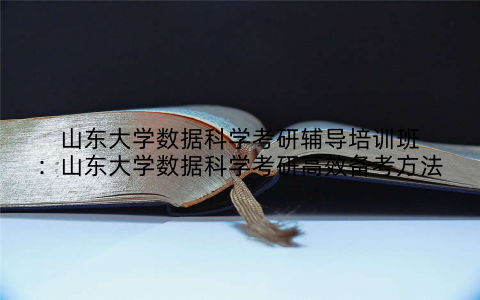 山东大学数据科学考研辅导培训班：山东大学数据科学考研高效备考方法