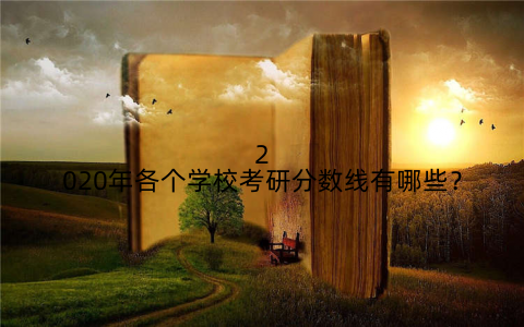 2020年各个学校考研分数线有哪些?