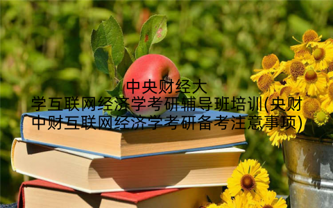 中央财经大学互联网经济学考研辅导班培训(央财中财互联网经济学考研备考注意事项)