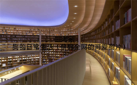 考研狗的日常生活（萌翻全网的可爱图片）