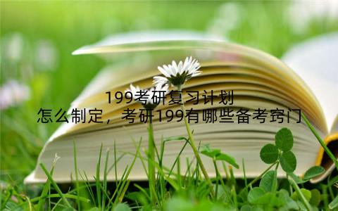 199考研复习计划怎么制定,考研199有哪些备考窍门