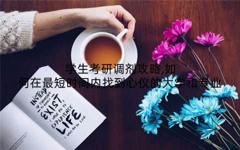 学生考研调剂攻略,如何在最短时间内找到心仪的大学和专业