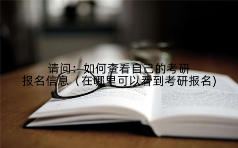 请问:如何查看自己的考研报名信息(在哪里可以看到考研报名)