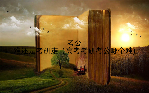 考公难还是考研难(高考考研考公哪个难)