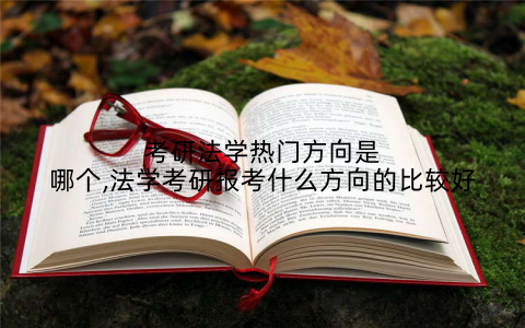 考研法学热门方向是哪个,法学考研报考什么方向的比较好