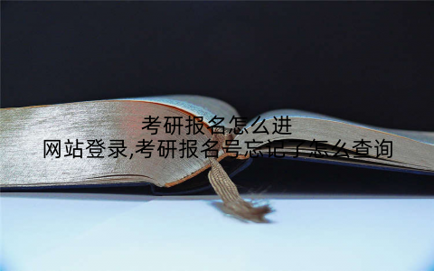 考研报名怎么进网站登录,考研报名号忘记了怎么查询
