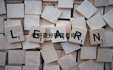 考研查分哪里看排行