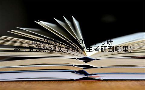 武汉纺织大学2020年考研率（武汉纺织大学的学生考研到哪里)