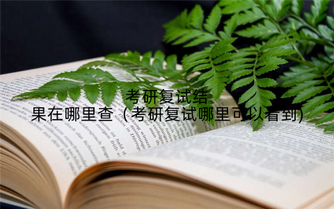 考研复试结果在哪里查（考研复试哪里可以看到)