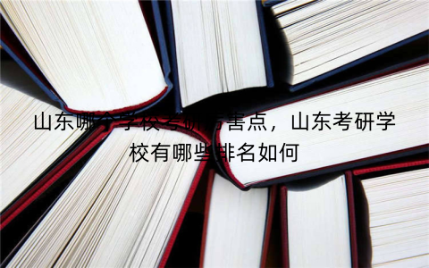 山东哪个学校考研厉害点,山东考研学校有哪些排名如何