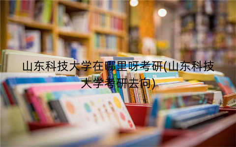 山东科技大学在哪里呀考研(山东科技大学考研去向)