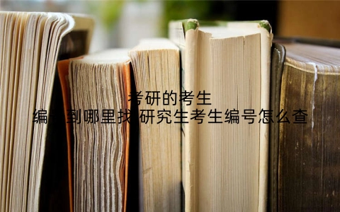 考研的考生编号到哪里找,研究生考生编号怎么查