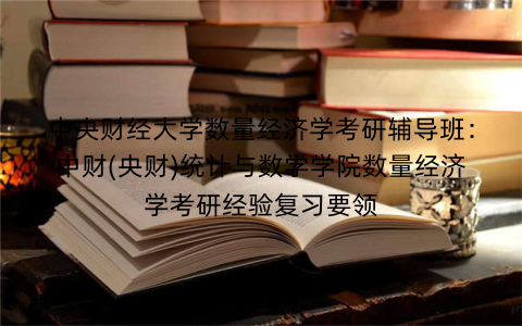 中央财经大学数量经济学考研辅导班：中财(央财)统计与数学学院数量经济学考研经验复习要领