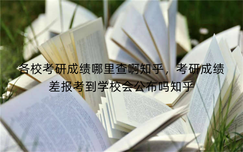 各校考研成绩哪里查啊知乎，考研成绩差报考到学校会公布吗知乎