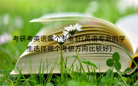 考研考英语哪个专业好(英语专业的学生选择哪个考研方向比较好)
