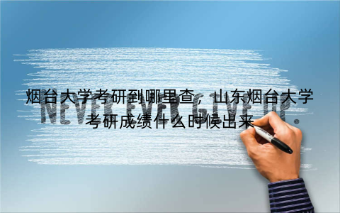 烟台大学考研到哪里查，山东烟台大学考研成绩什么时候出来