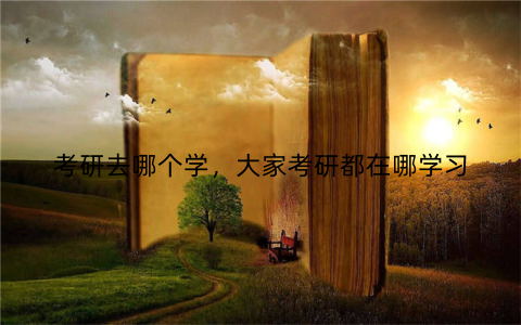 考研去哪个学,大家考研都在哪学习