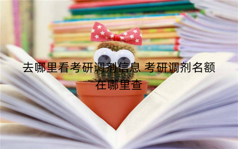 去哪里看考研调剂信息 考研调剂名额在哪里查