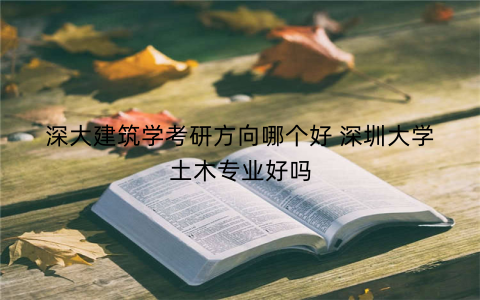 深大建筑学考研方向哪个好 深圳大学土木专业好吗