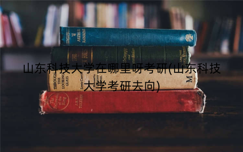 山东科技大学在哪里呀考研(山东科技大学考研去向)