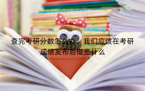 查完考研分数怎么办,我们应该在考研成绩发布后做些什么