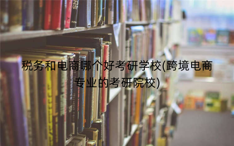 税务和电商哪个好考研学校(跨境电商专业的考研院校)