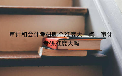 审计和会计考研哪个难度大一点,审计考研难度大吗