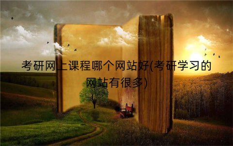 考研网上课程哪个网站好(考研学习的网站有很多)